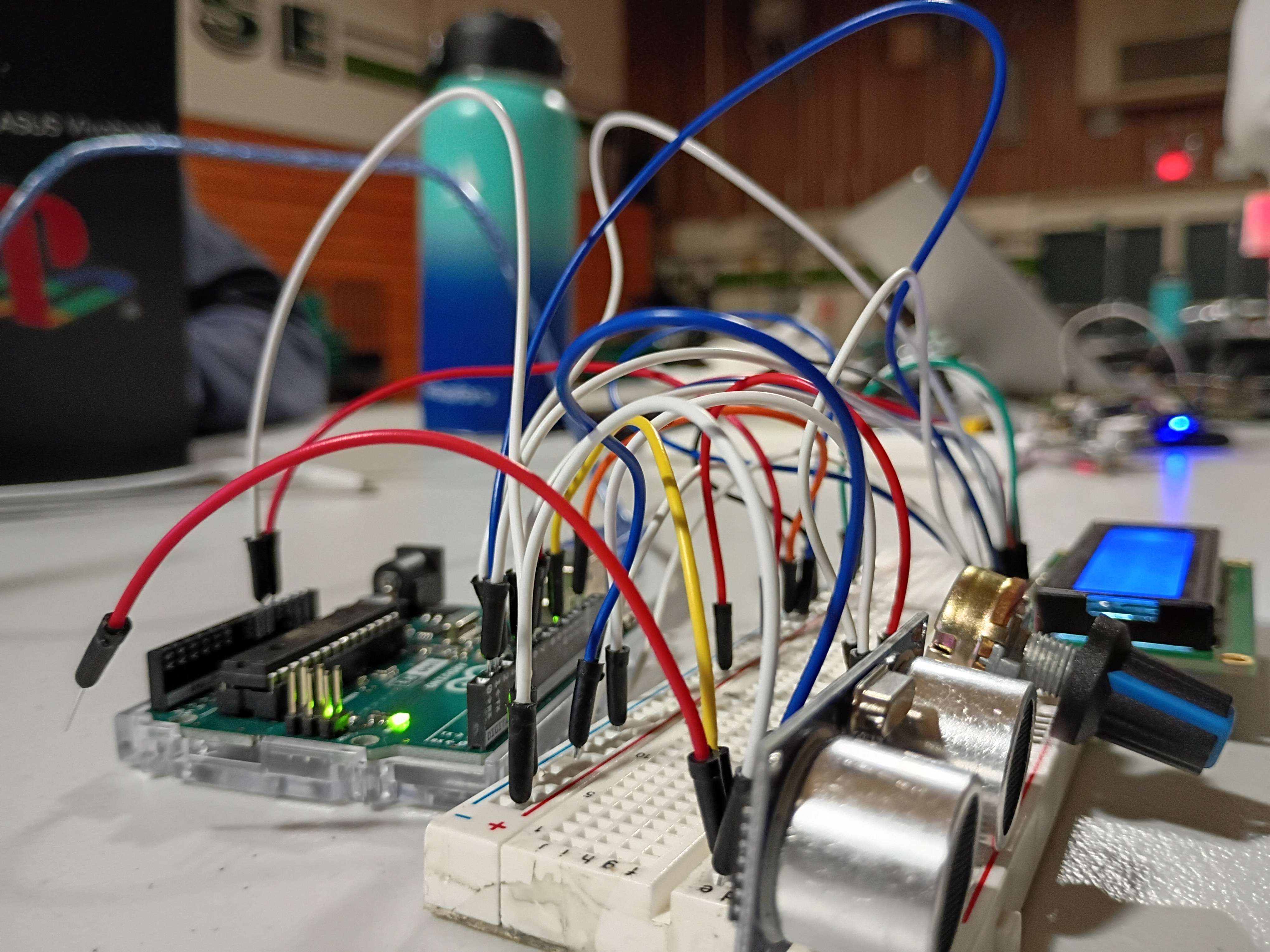 Neural Misprocessing